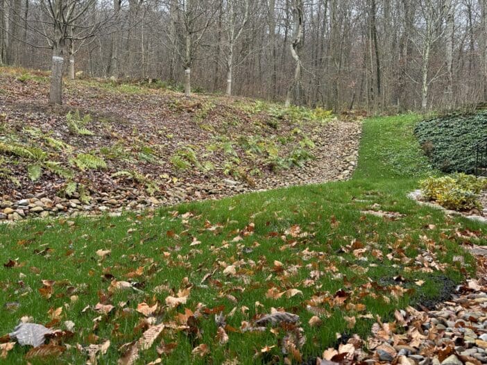 winterize landscape