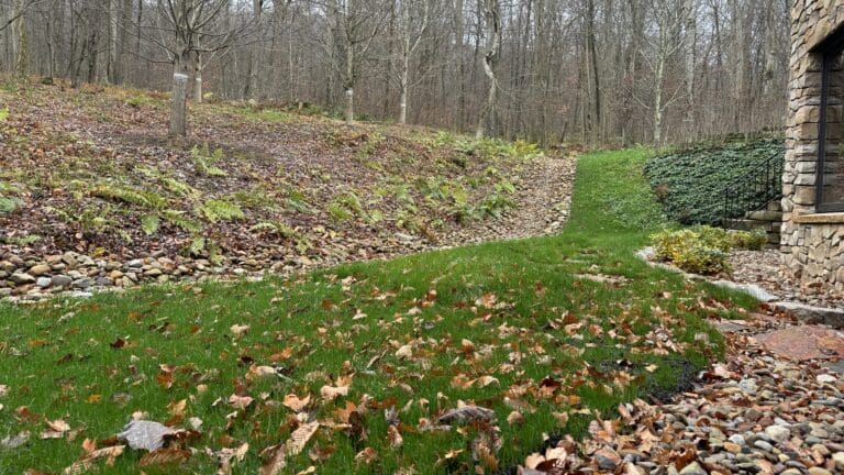 winterize landscape