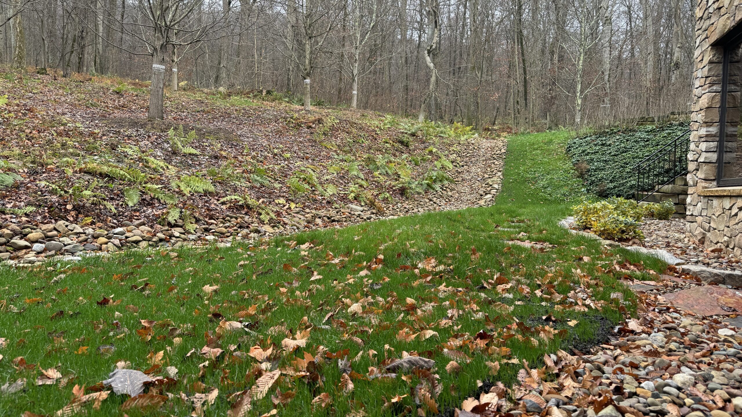 winterize landscape