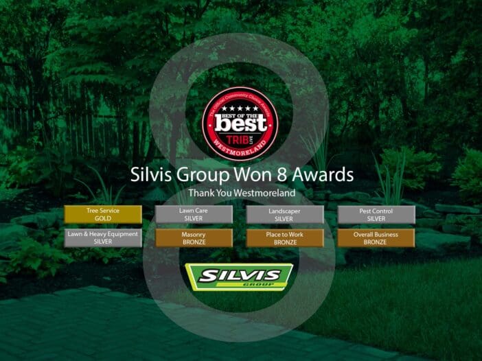 tribe-award-slider-blog-image-update