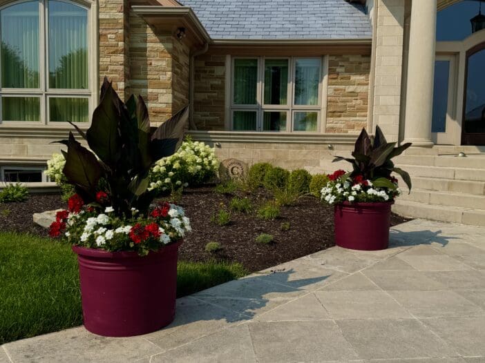 container gardens