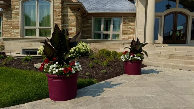 container gardens